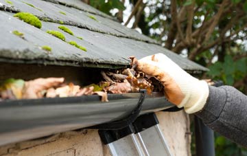 gutter cleaning Pentre Meyrick, The Vale Of Glamorgan